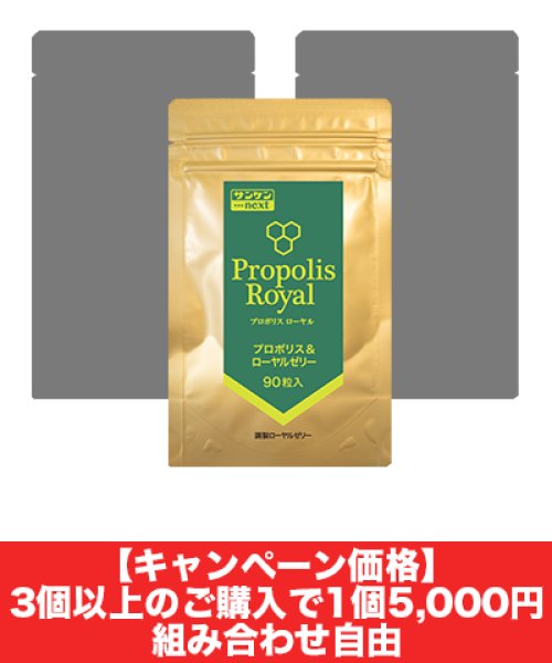 画像1: プロポリスローヤル 90粒（3個以上限定・キャンペーン価格） (1)