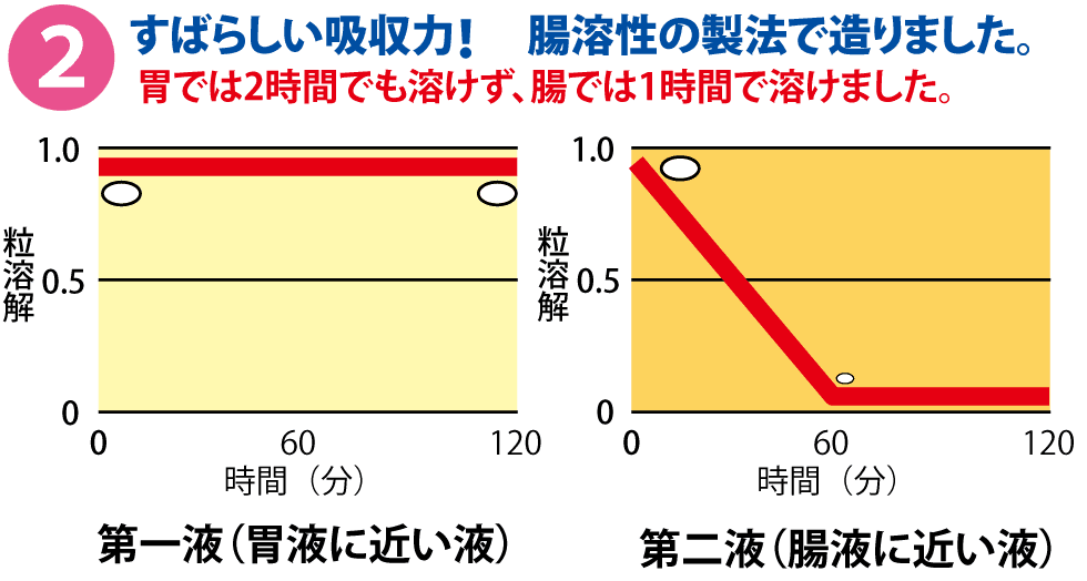 すばらしい吸収力！腸溶性の製法で造りました。